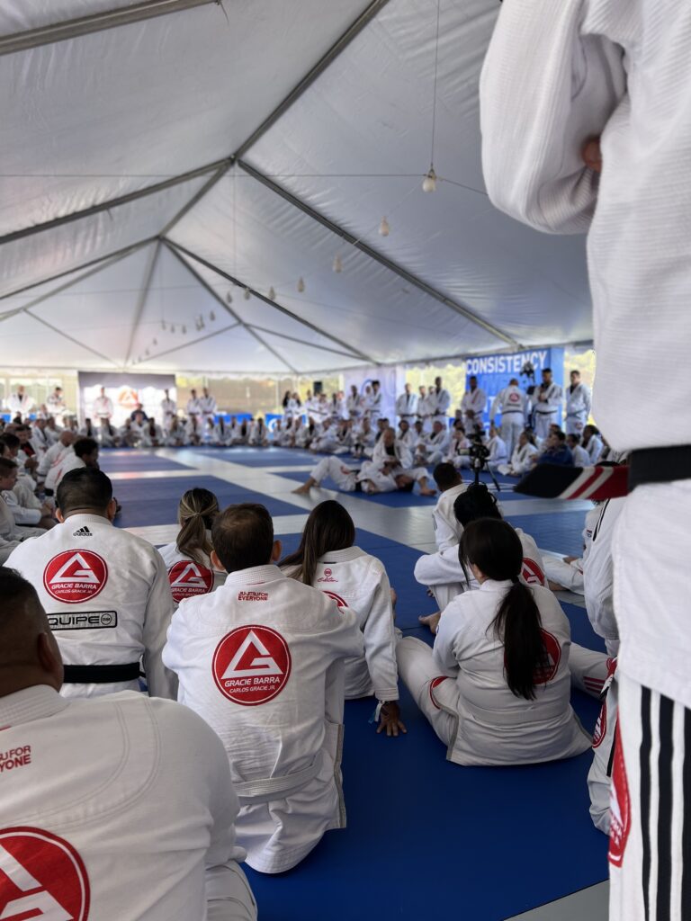 Ace Jiu Jitsu Lake St. Louis