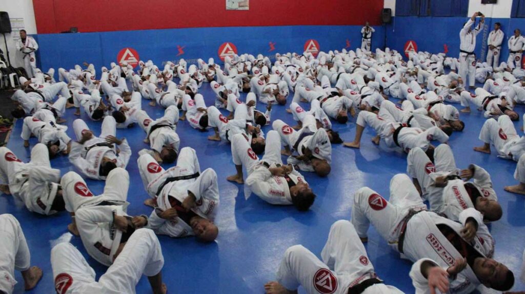 Ace Jiu Jitsu Lake St. Louis